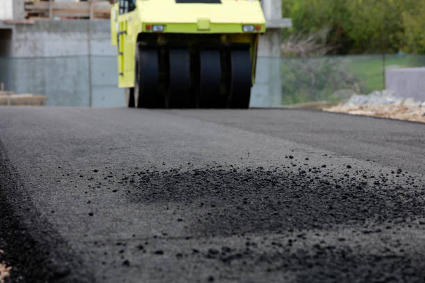 Best Residential Paver Driveway  in Chipley, FL